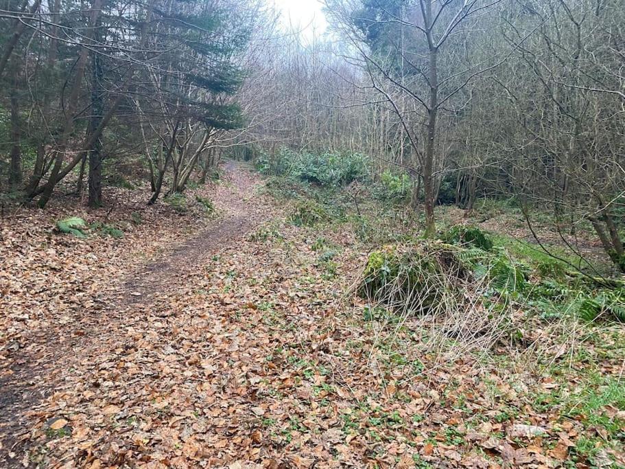 Forest View - Castlewellan, County Down Homestay Belfast