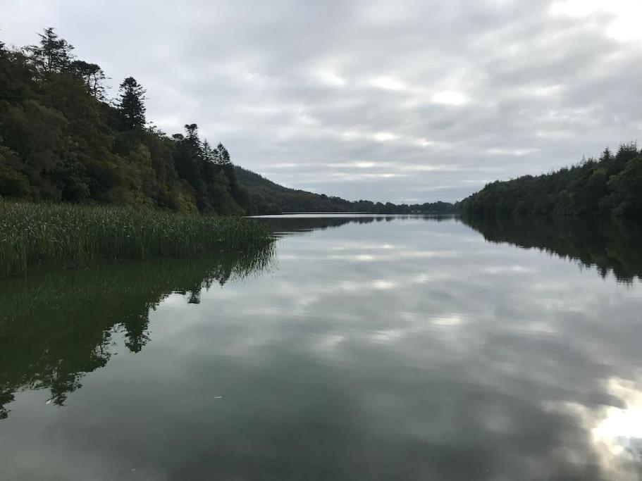 Forest View - Castlewellan, County Down