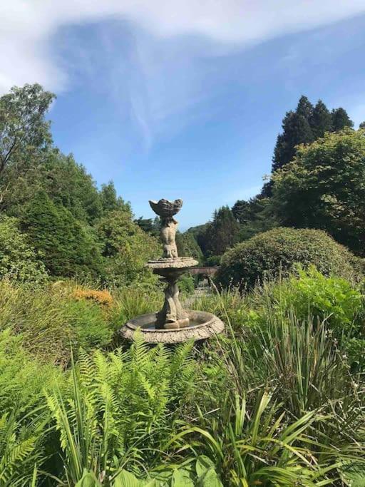 Forest View - Castlewellan, County Down Belfast