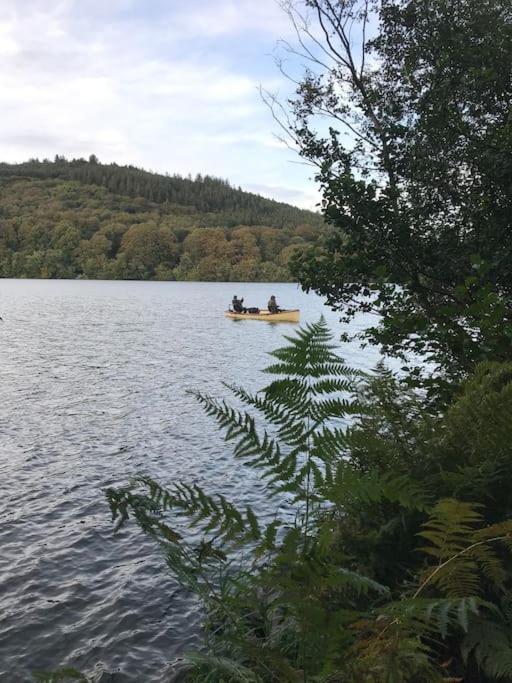 Forest View - Castlewellan, County Down Belfast
