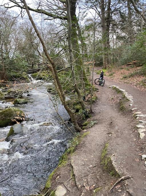 Forest View - Castlewellan, County Down Belfast
