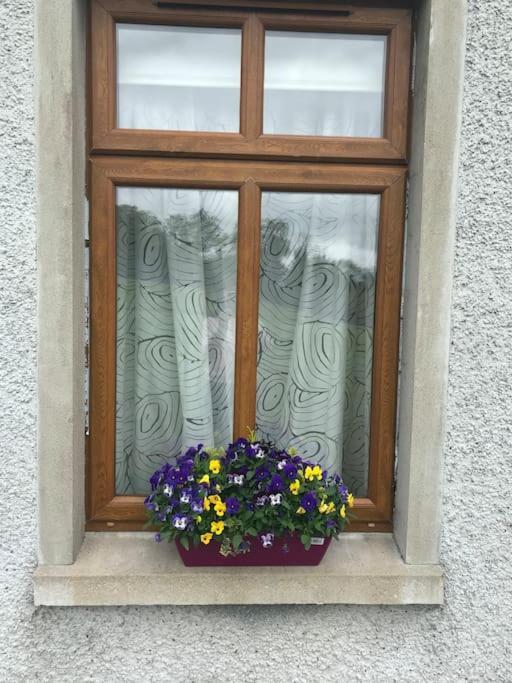 Homestay Forest View - Castlewellan, County Down *