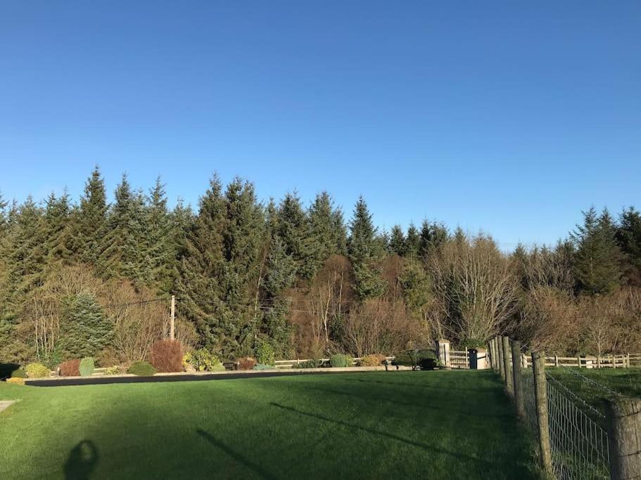 Forest View - Castlewellan, County Down * Belfast
