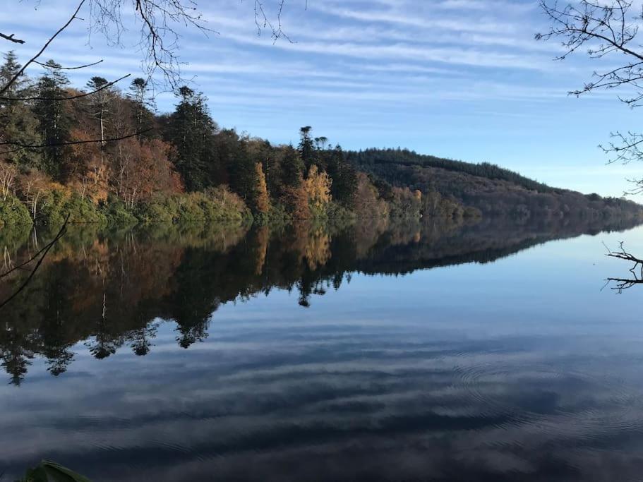 Forest View - Castlewellan, County Down Belfast