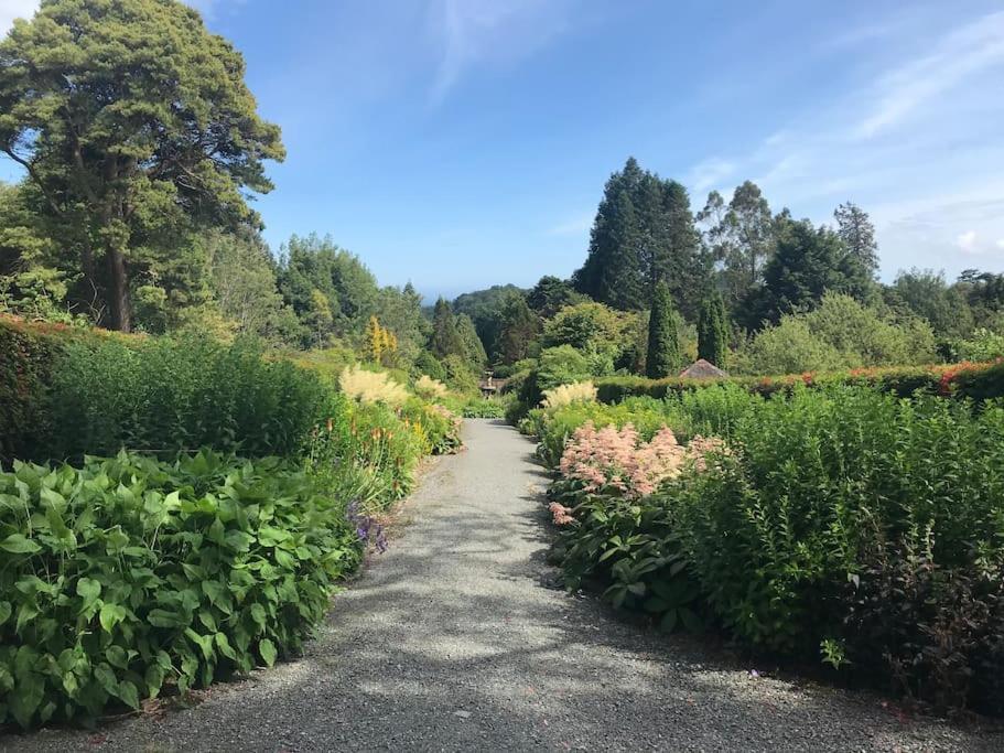Forest View - Castlewellan, County Down
