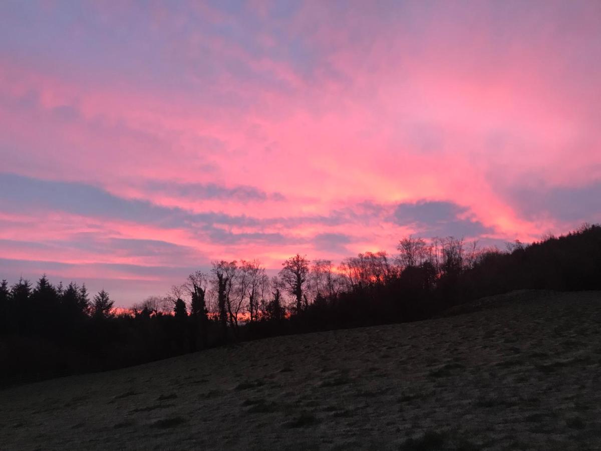 Forest View - Castlewellan, County Down Belfast