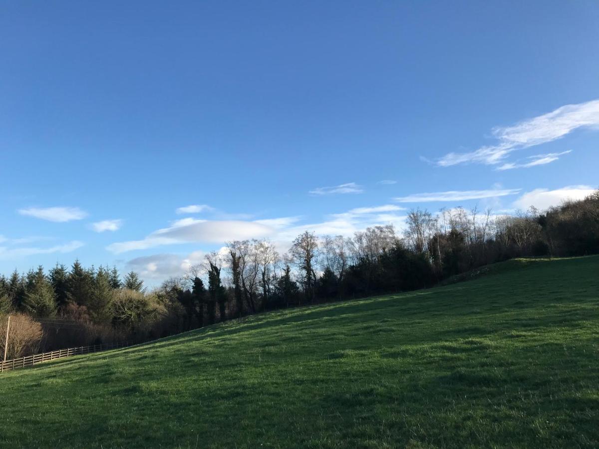 Homestay Forest View - Castlewellan, County Down Belfast